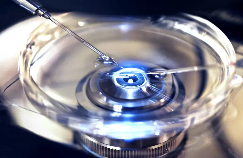 فيتامين أساسي يحمي صحة الحيوانات المنوية لدى الرجال